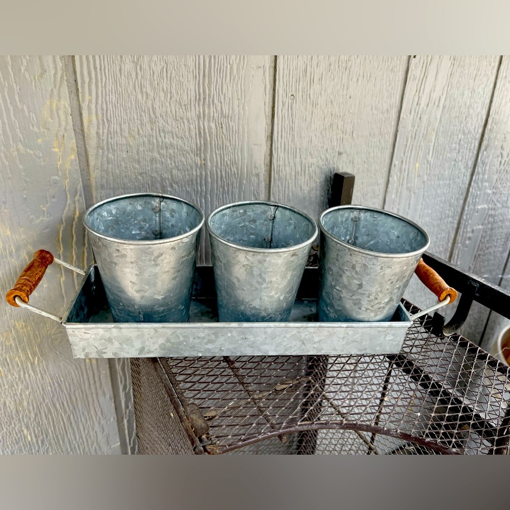 Pottery Barn Galvanized Metal Tray Set with Wooden Handles